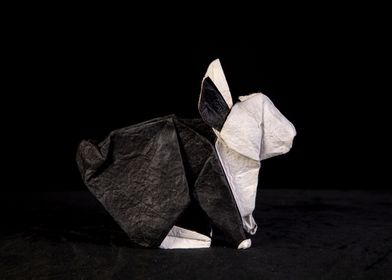 Origami black and white Rabbit