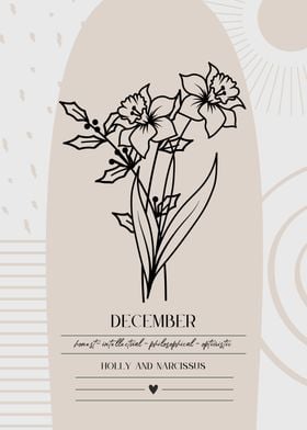 December Birth Flower Holly Narcissus Print