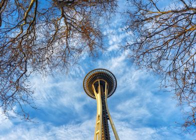 Space Needle View