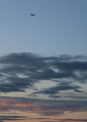 Airplane in Cloudy Sky