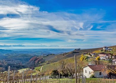 Langhe Vineyard Landscape with Mountains