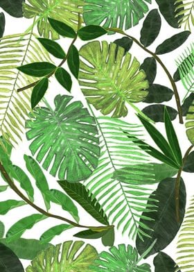 Tropical Leaf Pattern