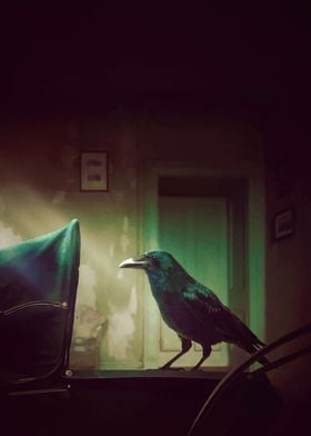 Raven in a Room