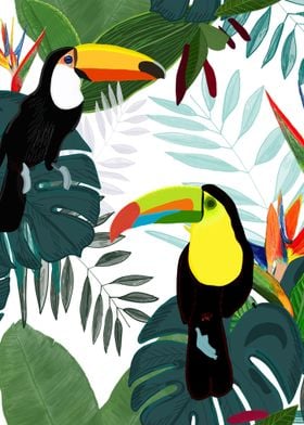 Toucan Bird Of Paradise