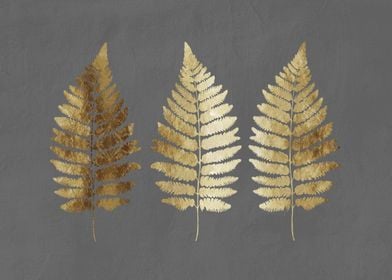 Gold Fern Leaves