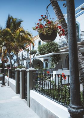 Mediterranean Street Scene