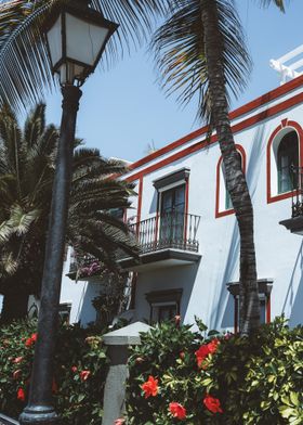 Palm Tree Street Scene