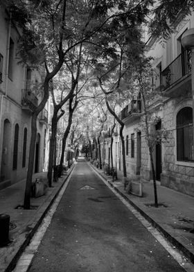 Narrow Street with Trees