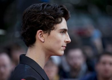 Timothée Chalamet Profile