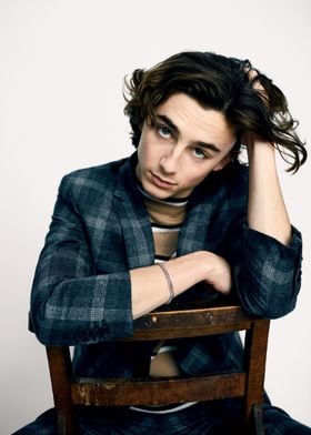 Timothée Chalamet Portrait