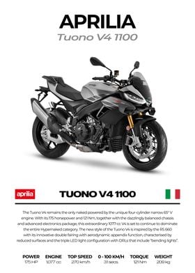 Aprilia Tuono V4 1100 Motorcycle