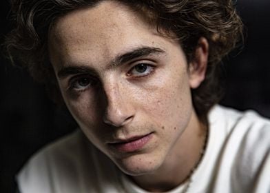 Timothée Chalamet Portrait