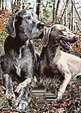 Two Dogs in the Woods