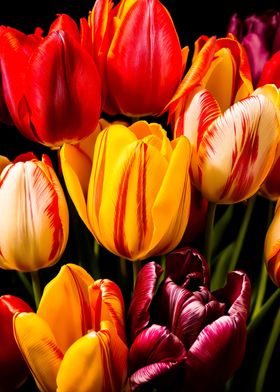 Floral Art-preview-1