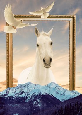 White Horse in a Frame