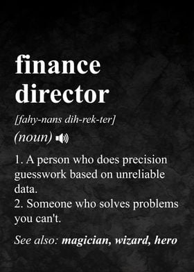 Finance Director Definition