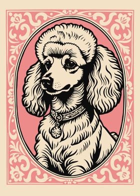 Poodle Portrait