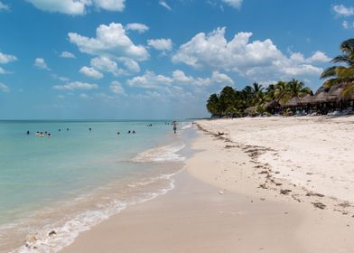 Tropical Beach Scene