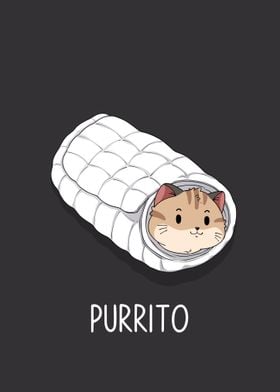 Cat Purrito Illustration