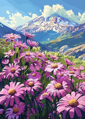 Mountain Wildflowers