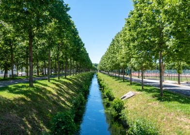 Canal Pathway with Trees