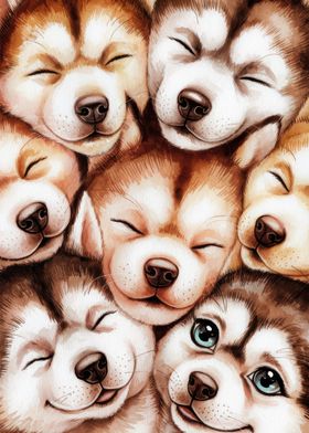 Cute Husky Puppies