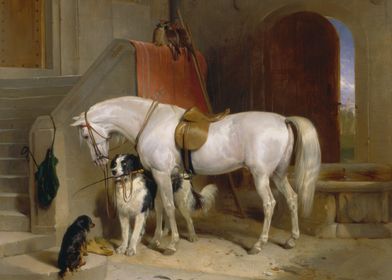 Horse and Dogs in Stable