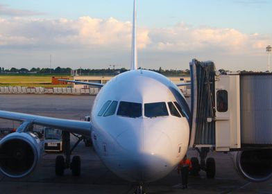 Airplane at the Gate