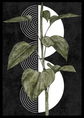 Botanicat Geometric Art Black-preview-3