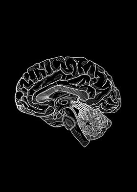 Volskey Anatomy-preview-1
