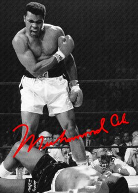 Celebrities-preview-0