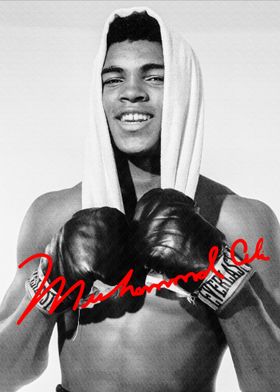 Celebrities-preview-3