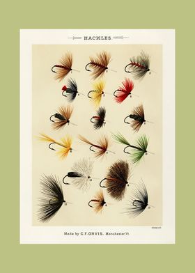 Sports And Hobbies-preview-2