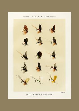 Sports And Hobbies-preview-1