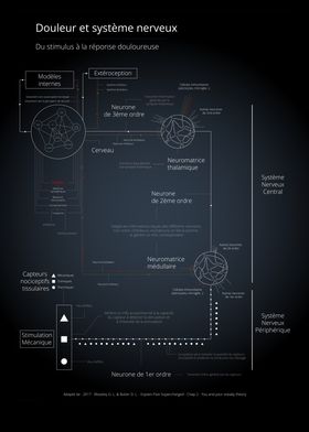 Infographies En Francais-preview-3