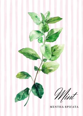 Kitchen Decor-preview-3