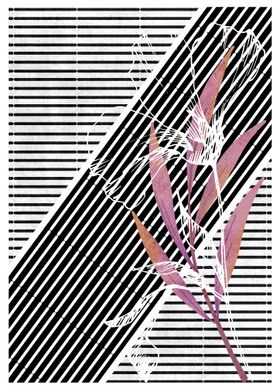 Geometric White Floral-preview-1