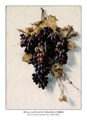 Still Life-preview-1
