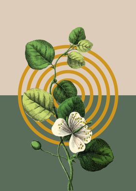 Geometrical Boho Floral Art-preview-2