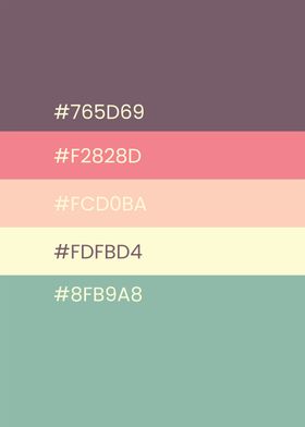 Minimalist-preview-0