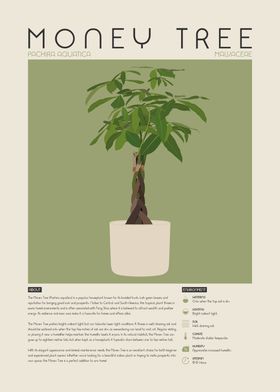 Plants-preview-3