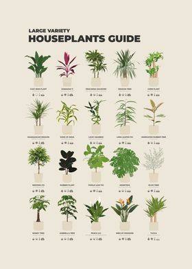 Plants-preview-2