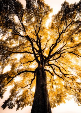 Earths Fingerprints-preview-1