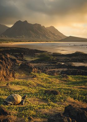 Earthen Elements-preview-3