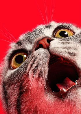 Cats World-preview-3