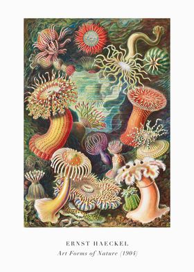 Vintage Posters-preview-1