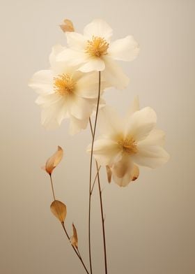 Floral Botanical-preview-2