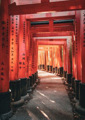 Art Top 4K 8K-preview-3