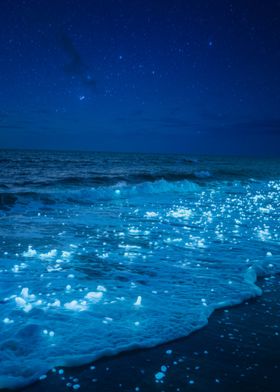Ocean-preview-1