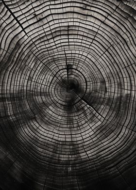 Raw Textures-preview-2